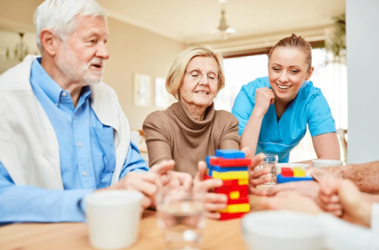 CUIDADOS COM IDOSOS COM DEMÊNCIA - 2026.07.444